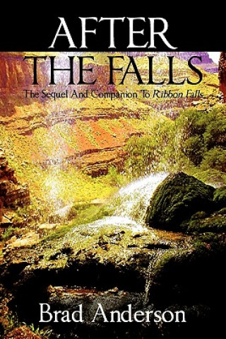 Könyv After the Falls Brad Anderson