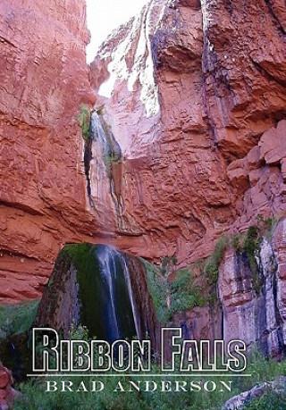 Livre Ribbon Falls Brad Anderson