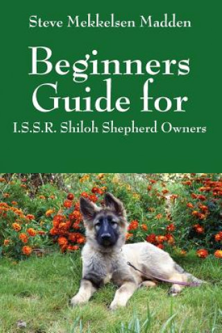 Könyv Beginners Guide for Steve Mekkelsen Madden