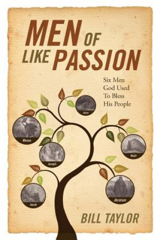 Buch Men of Like Passion Taylor