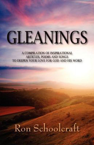 Knjiga Gleanings Ron Schoolcraft