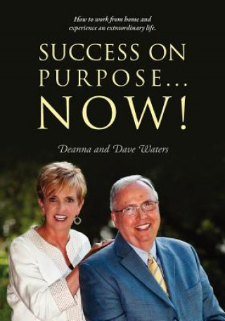 Kniha Success On Purpose... Now! David Waters