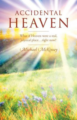 Könyv Accidental Heaven Michael McKinsey