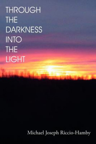 Knjiga Through the Darkness Into the Light Michael Joseph Riccio-Hamby