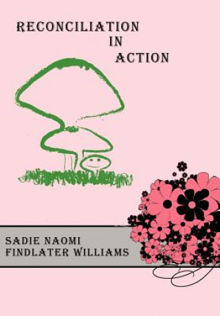 Carte Reconciliation In Action Sadie Naomi Findlater Williams