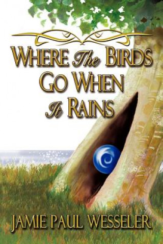 Kniha Where The Birds Go When It Rains Jamie Paul Wesseler