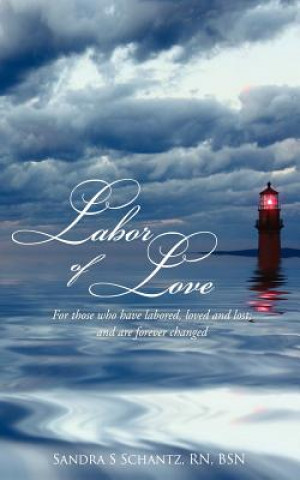 Könyv Labor of Love Sandra S Schantz