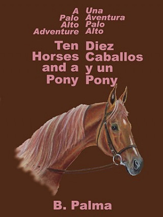 Kniha 10 Horses and a Pony B Palma