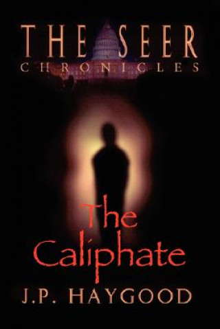 Buch Seer Chronicles J P Haygood