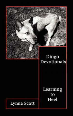 Carte Dingo Devotionals Lynne Scott