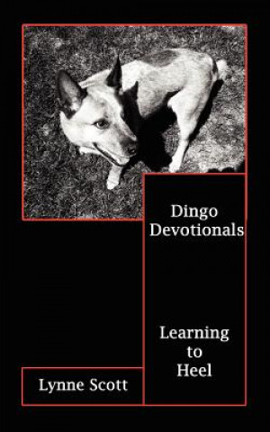 Livre Dingo Devotionals Lynne Scott