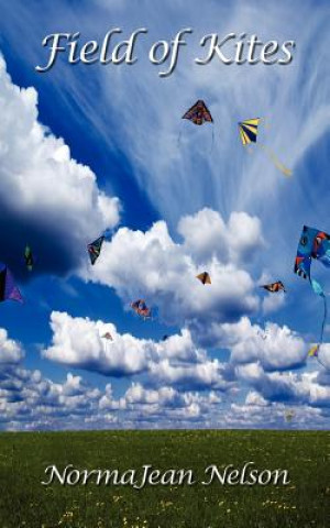 Buch Field of Kites Normajean Nelson