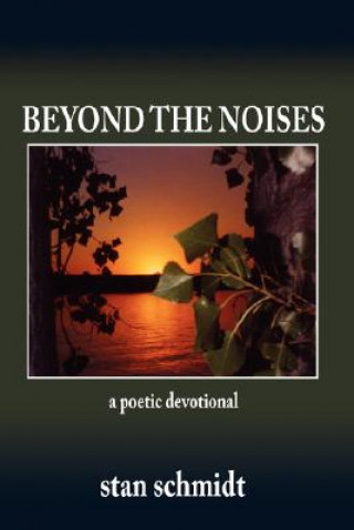 Buch Beyond The Noises Stan Schmidt