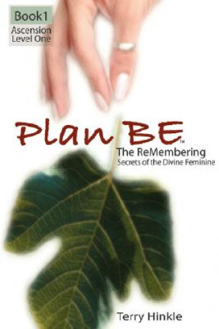 Knjiga Plan Be Terry Hinkle