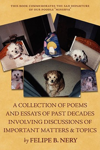 Carte collection of poems and essays of past decades involving discussions of important matters and topics Felipe B Nery