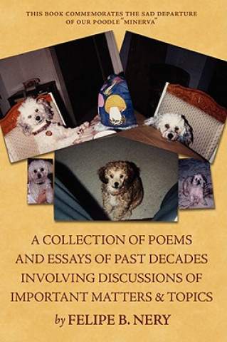 Carte Collection of Poems and Essays of Past Decades Involving Discussions of Important Matters & Topics Felipe B Nery
