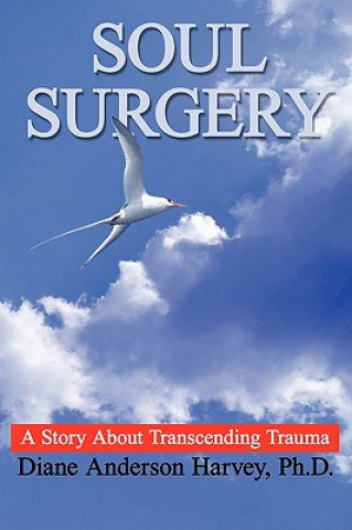 Buch Soul Surgery Diane Anderson Harvey