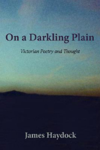Könyv On a Darkling Plain James Haydock