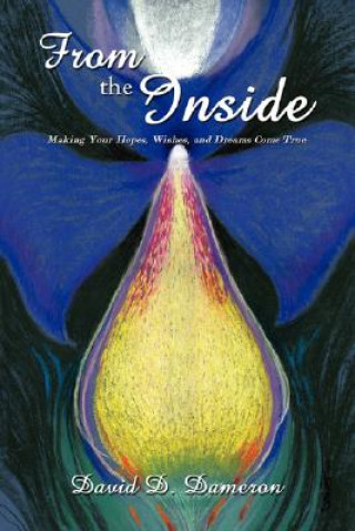 Knjiga From the Inside David D Dameron