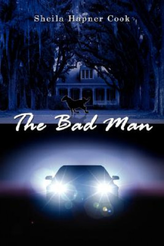 Knjiga Bad Man Sheila Hapner Cook