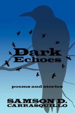 Buch Dark Echoes Samson D Carrasquillo