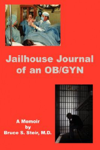 Книга Jailhouse Journal of an OB/GYN Bruce S Steir