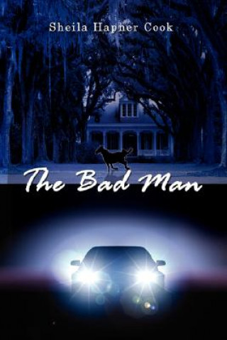Knjiga Bad Man Sheila Hapner Cook