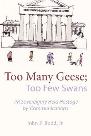 Könyv Too Many Geese; Too Few Swans Budd
