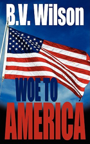 Kniha Woe to America B V Wilson