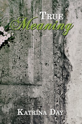 Buch True Meaning Katrina Day