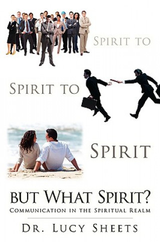 Kniha Spirit to Spirit to Spirit But What Spirit? Dr Lucy Sheets