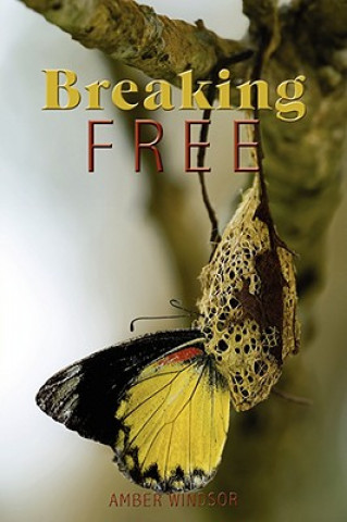Book Breaking Free Amber Windsor