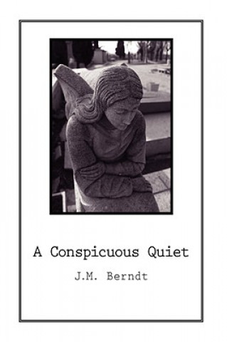 Kniha Conspicuous Quiet J M Berndt