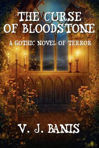 Kniha Curse of Bloodstone V J Banis