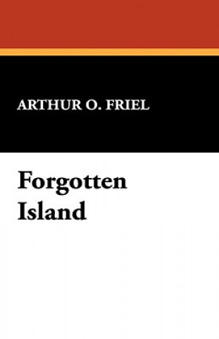 Książka Forgotten Island Arthur O Friel