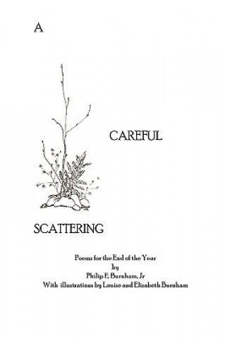 Book Careful Scattering Philip Burnham Jr.