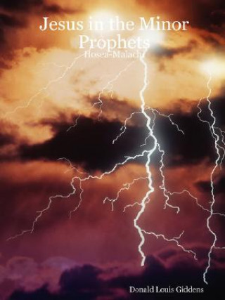 Kniha Jesus in the Minor Prophets: Hosea-Malachi Pastor/Missionary Donald Louis Giddens