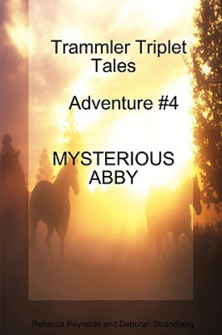 Kniha Trammler Triplet Tales Advente #4 MYSTERIOUS ABBY Rebecca Reynolds and Deborah Strandberg