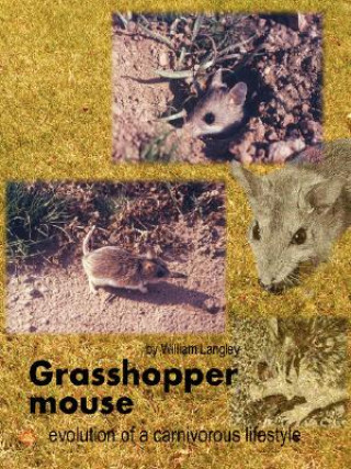 Carte Grasshopper Mouse: Evolution of a Carnivorous Life Style William Langley