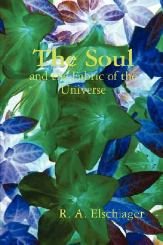 Könyv Soul and the Fabric of the Universe R. A. Elschlager