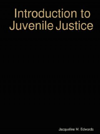 Könyv Introduction to the Juvenile Justice System Jacqueline M. Edwards