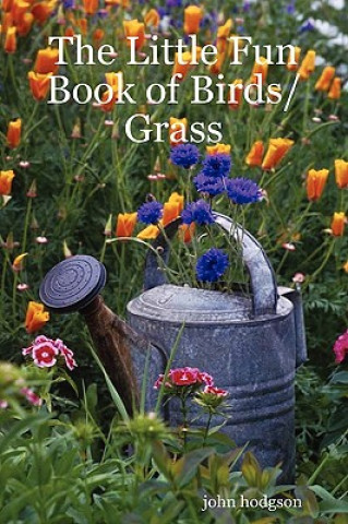 Buch Little Fun Book of Birds/Grass John Hodgson