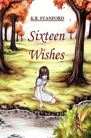 Buch Sixteen Wishes (paperback) K.B. Stanford