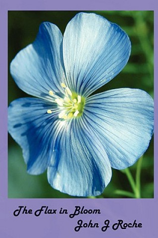 Książka Flax In Bloom John Roche