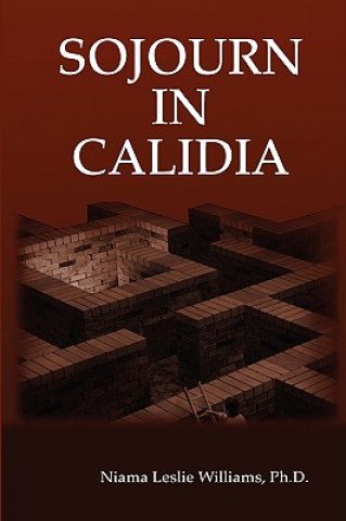 Buch Sojourn in Calidia Williams