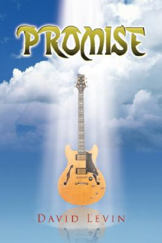 Книга Promise David Levin