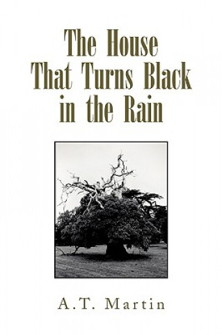 Kniha House That Turns Black in the Rain A T Martin