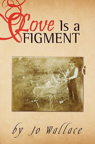 Kniha Love Is a Figment Jo Wallace