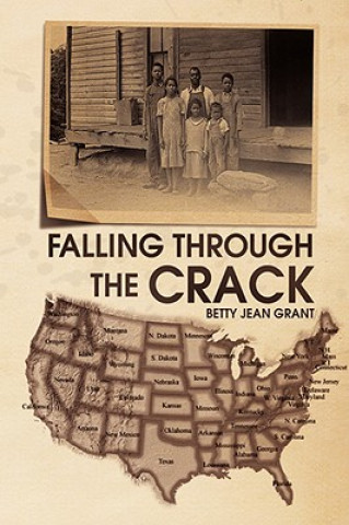 Kniha Falling Through the Crack Betty Jean Grant