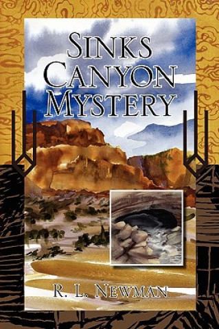 Книга Sinks Canyon Mystery R L Newman